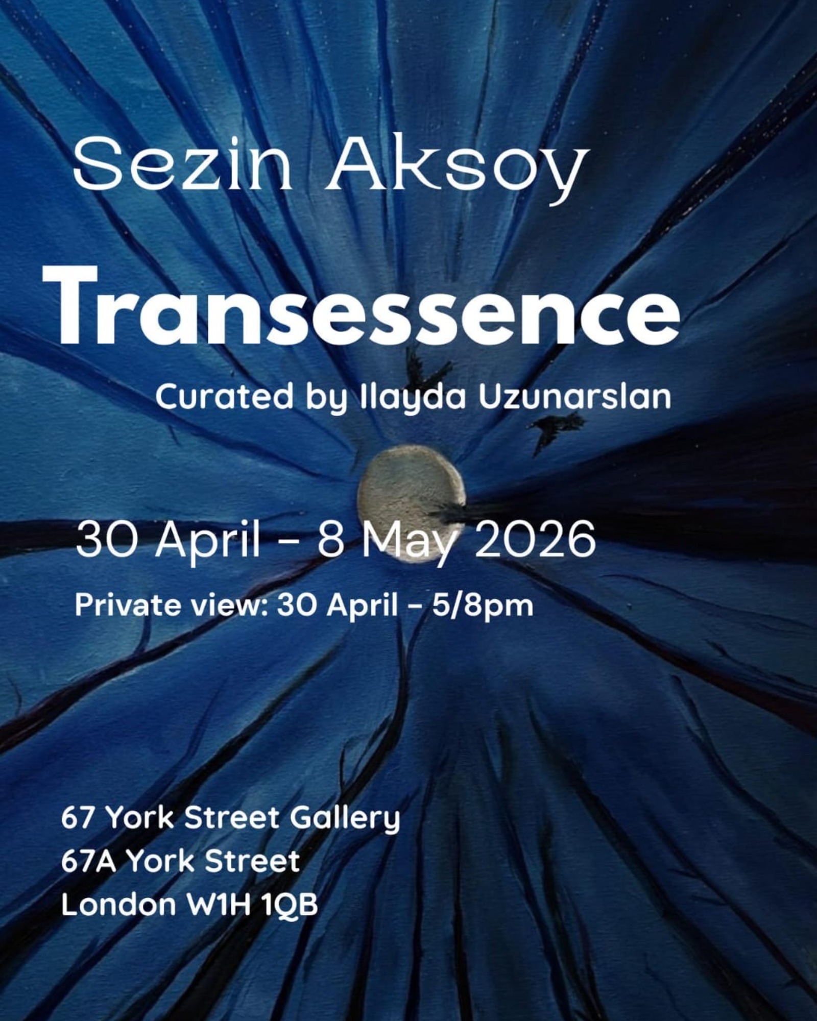 TRANSESSENCE Solo Exhibition by Sezin Aksoy Curated by İlayda Uzunarslan poster