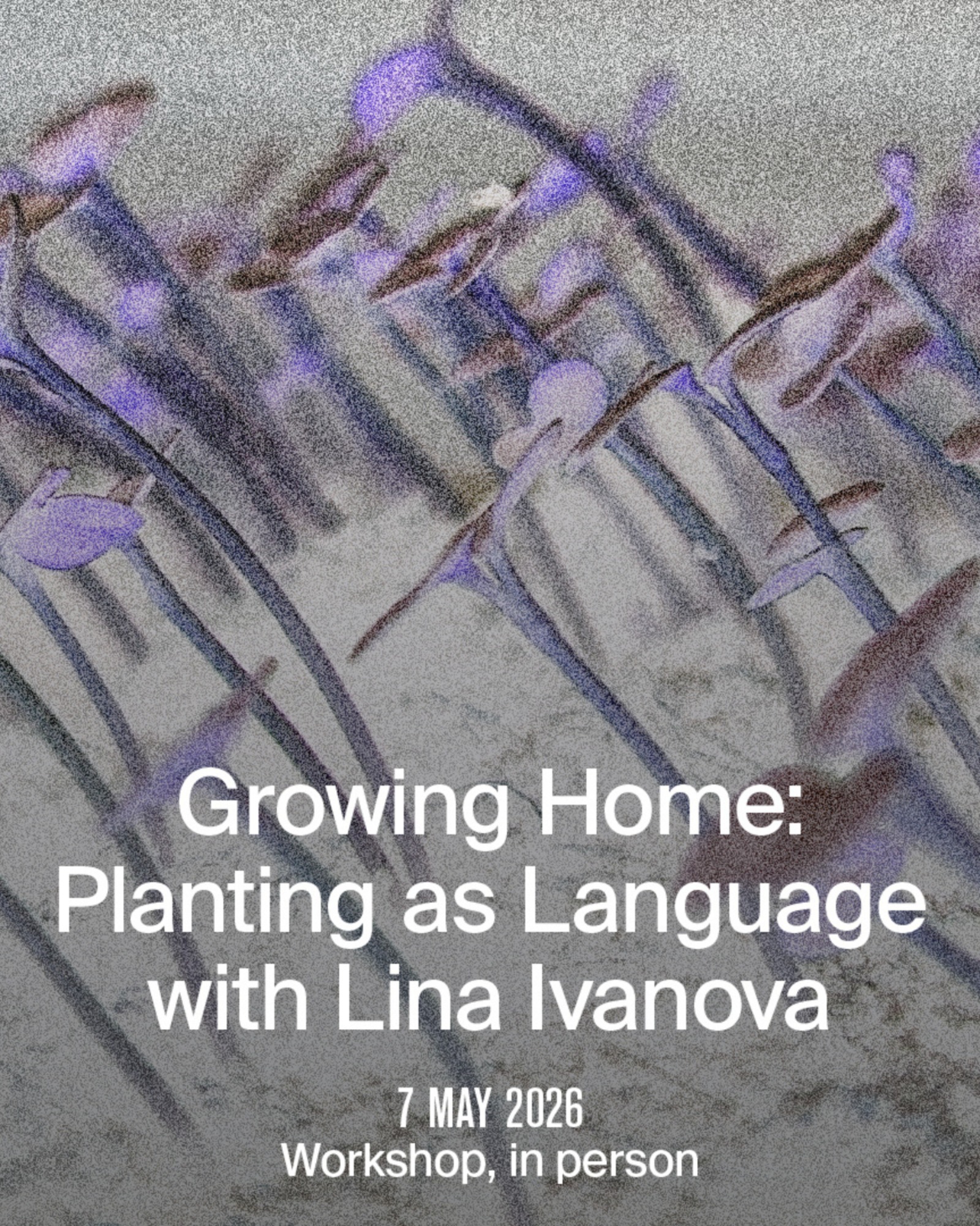 Growing Home: Planting as Language, with Lina Ivanova poster