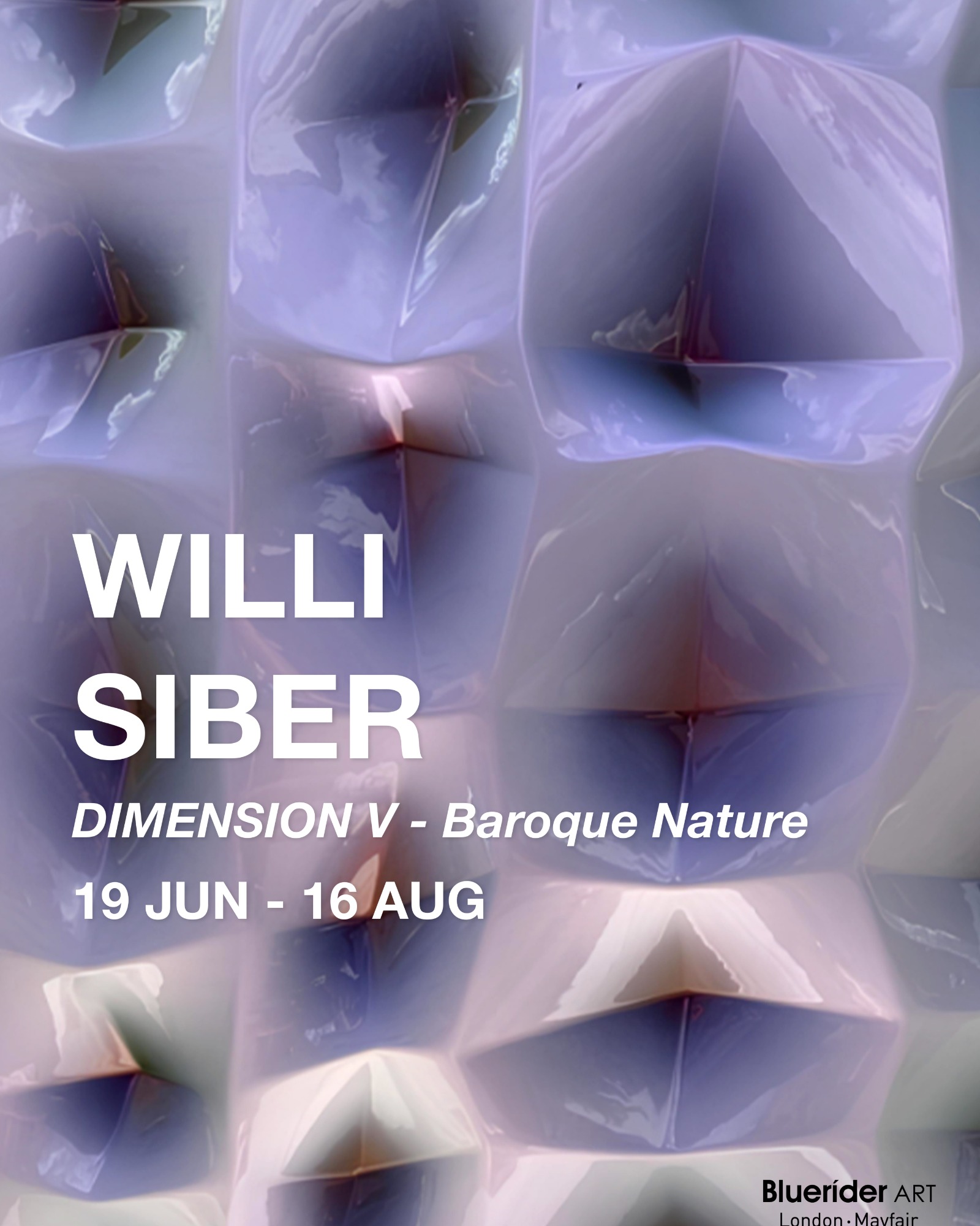 Willi Siber: Dimension V-Baroque Nature poster